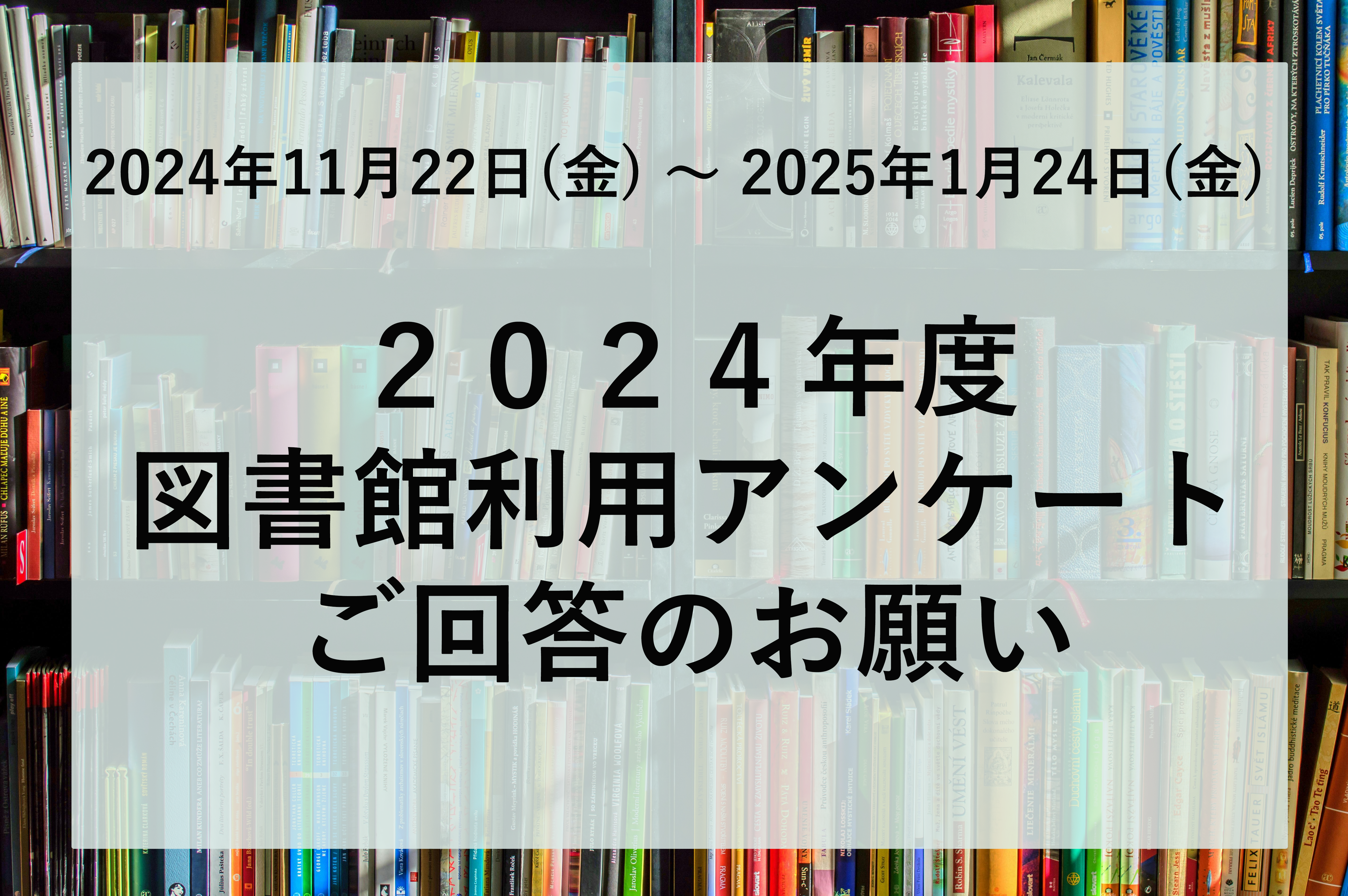 図書館アンケート2024